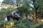 Goa