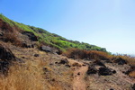Goa