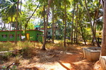 Goa