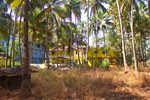 Goa