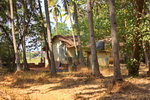 Goa