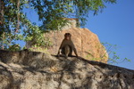 Hampi