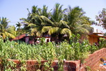 Karnataka