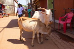 Karnataka