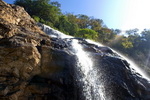 Goa