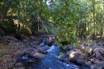 Goa