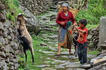 Annapurna