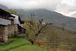 Annapurna
