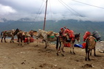 Annapurna