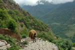 Annapurna