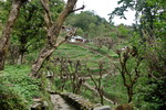 Annapurna