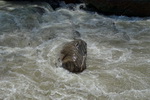 Annapurna