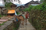 Annapurna