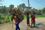 Chitwan