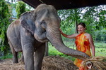 Chitwan