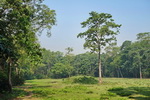 Chitwan