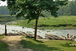 Chitwan