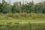 Chitwan