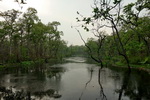 Chitwan