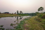 Chitwan