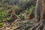 Kathmandu