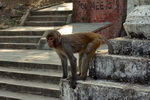 Kathmandu