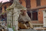 Kathmandu