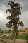 Kathmandu