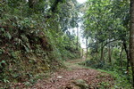 Pokhara